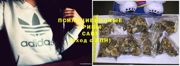 экстази Алексин